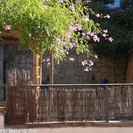 Appartement Avec Jardin Privatif Centre Ville Hyeres Ngoại thất bức ảnh