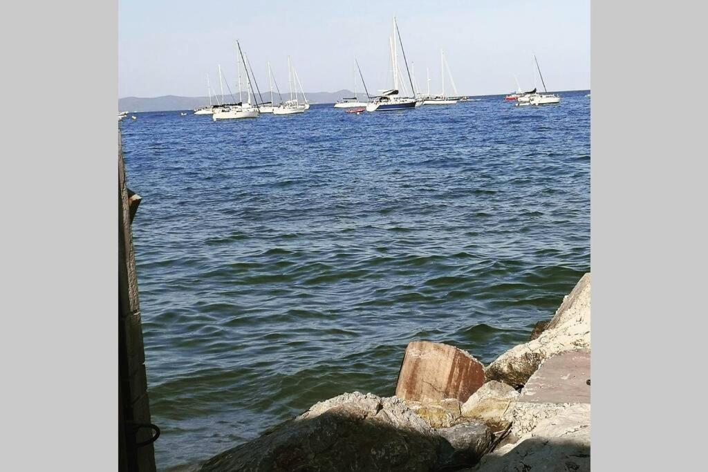 Appartement Avec Jardin Privatif Centre Ville Hyeres Ngoại thất bức ảnh