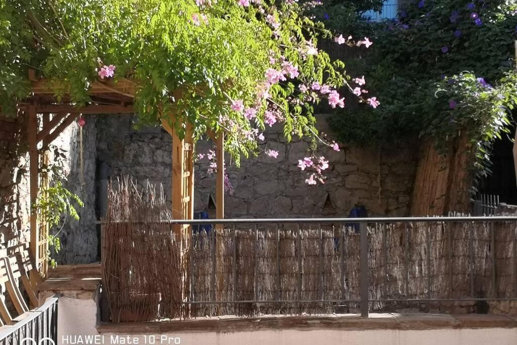 Appartement Avec Jardin Privatif Centre Ville Hyeres Ngoại thất bức ảnh